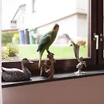 Sonnige In Mit Garten Lägenhet