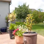 Sonnige In Mit Garten Bad Driburg