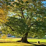 Lägenhet Sonnige In Mit Garten