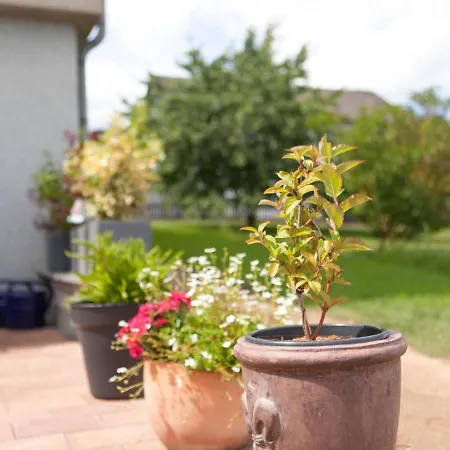 Sunny Flat In With Garden *