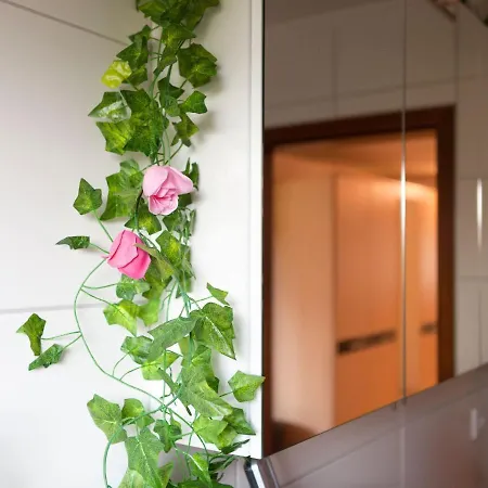 Sunny Flat In With Garden Appartement