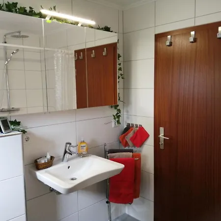 Sunny Flat In With Garden *