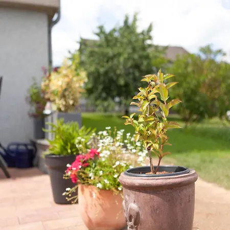 Sonnige In Mit Garten Bad Driburg