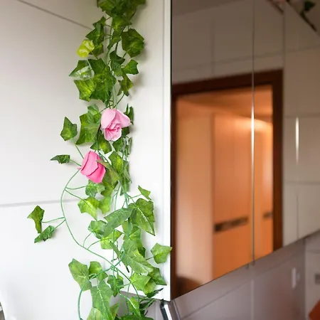 Sonnige In Mit Garten * Bad Driburg