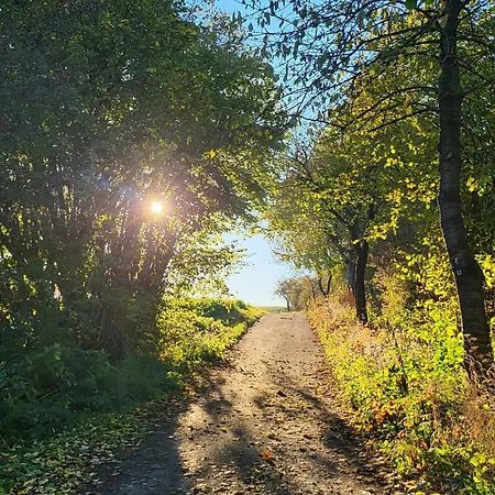 Sonnige In Mit Garten *