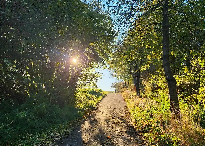 Sonnige In Mit Garten *